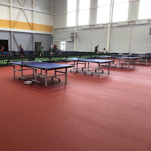 Спортивный линолеум NEOFOLD 80 GadeStone/ Wood / поверхность покрыта полиуретаном 