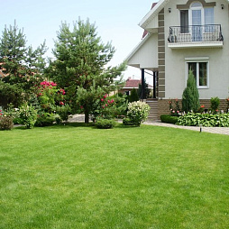 Ландшафтная трава