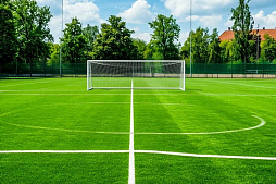 Искусственная трава