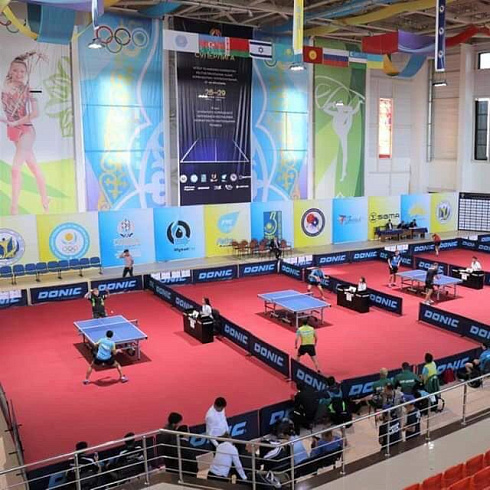 Спортивный линолеум для настольного тенниса NEOFOLD 50 Сloth