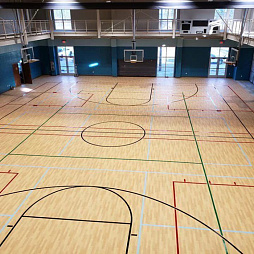 Спортивный линолеум