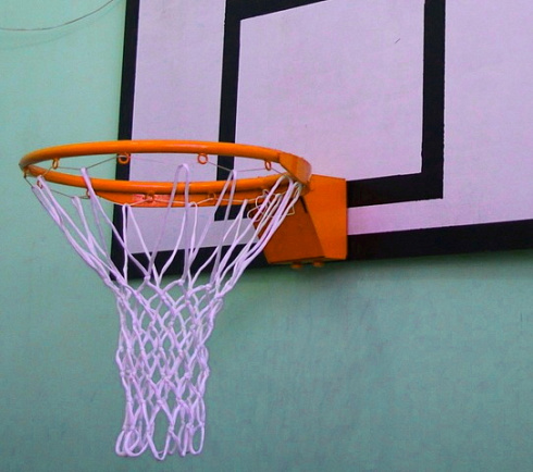 Кольцо баскетбольное амортизационное (А09)