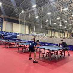 Спортивный линолеум для настольного тенниса NEOFOLD 50 Сloth