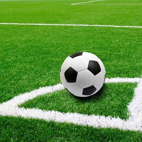 Искусственная трава для футбола SPORT STANDART F-40