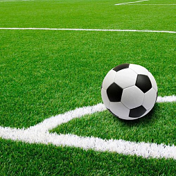 Футбольный газон