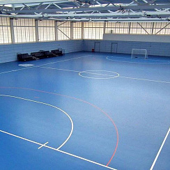 Спортивный линолеум NEOFOLD 80 GadeStone/ Wood / поверхность покрыта полиуретаном 