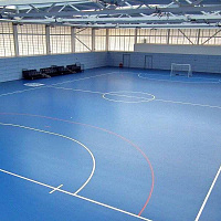 Спортивный линолеум NEOFOLD 80 GadeStone/ Wood / поверхность покрыта полиуретаном 