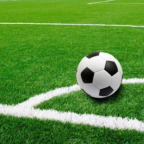 Искусственная трава ДЛЯ РАЗМЕТКИ