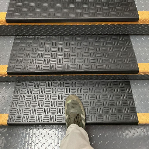 Проступь малая (Россия)